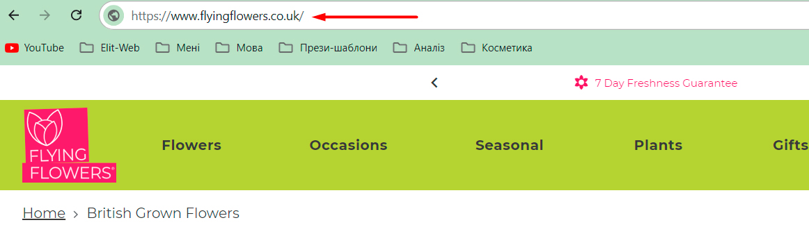 доменное имя это