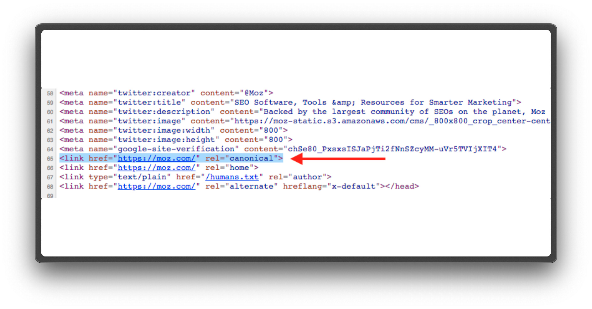 link rel canonical seo