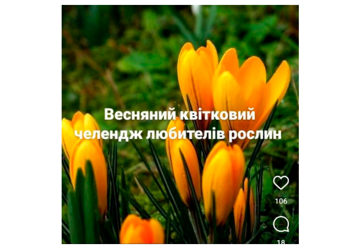 ідеї для марафону в інстаграмі